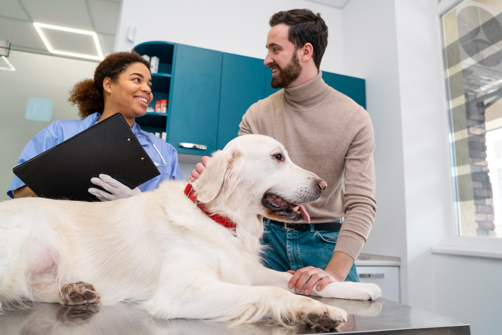 un home et son chien chez le vétérinaire